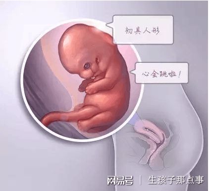 林靜遠